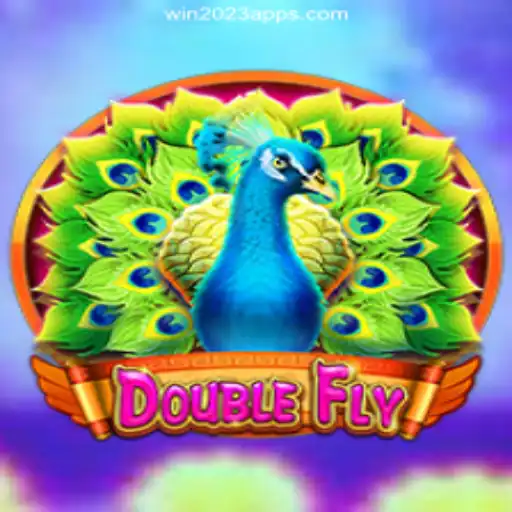 Explore the Excitement of DoubleFly: The Leading Platform for Online Slots in Brazil